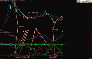 指标只是辅助 精品顶底 达信副图指标 贴图