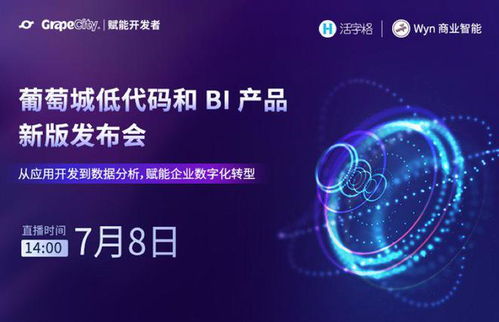 葡萄城低代码与BI产品焕新升级，助您探索企业数字化转型新途径