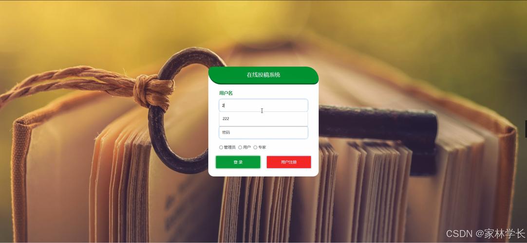 java在线投稿系统论文 源码 2025毕设